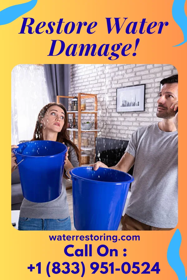 water restoration Pinnacle Water Solutions LLC Lake Norman of Catawba