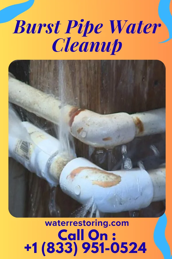 Burst Pipe Water Cleanup in Lake Norman of Catawba, NC