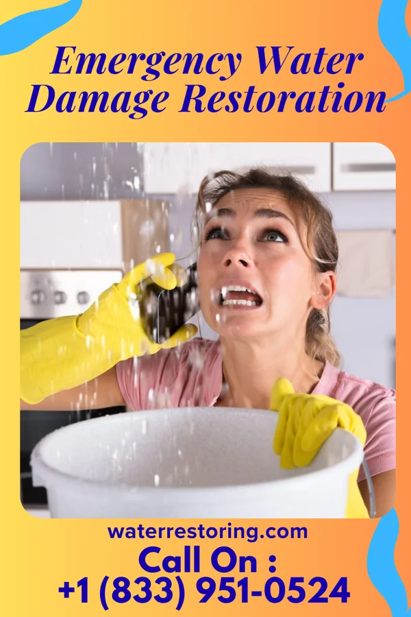 Emergency Water Damage Restoration in Lake Norman of Catawba, NC