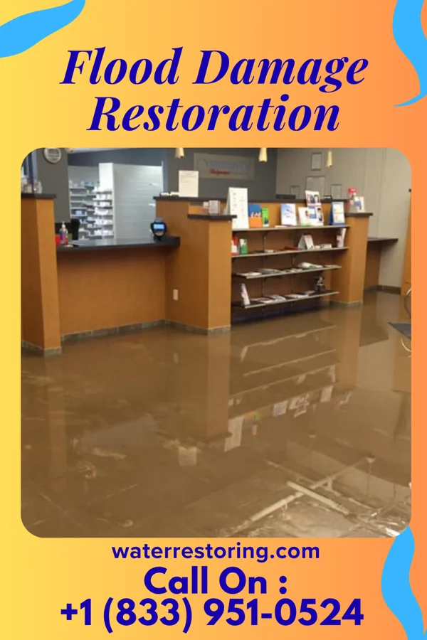 Flood Damage Restoration in Lake Norman of Catawba, NC