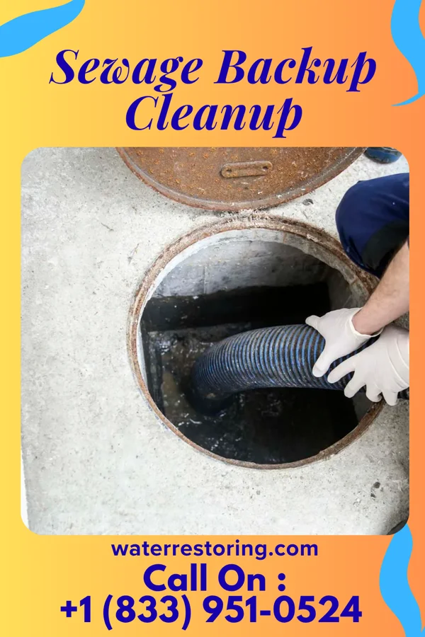 Sewage Backup Cleanup in Lake Norman of Catawba, NC