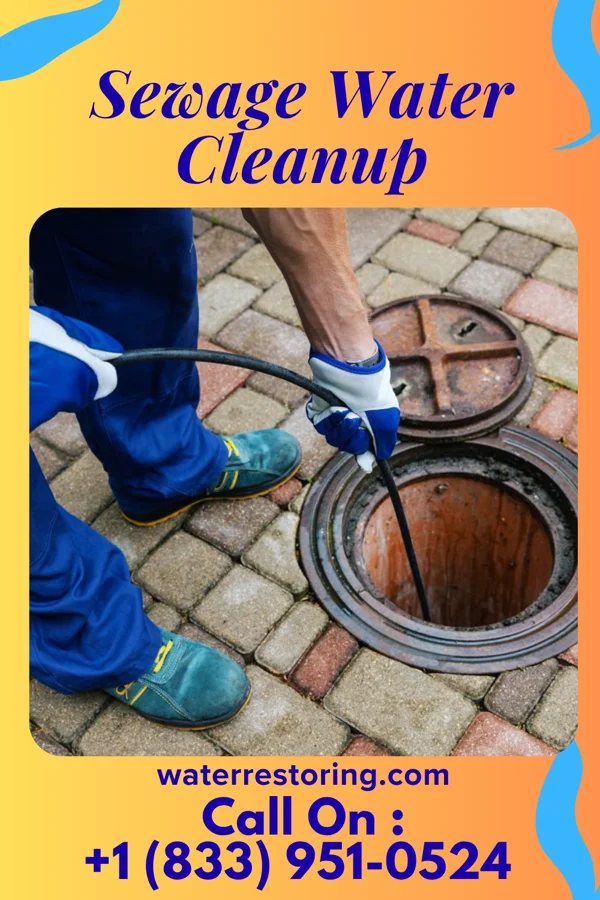 Sewage Water Cleanup in Lake Norman of Catawba, NC