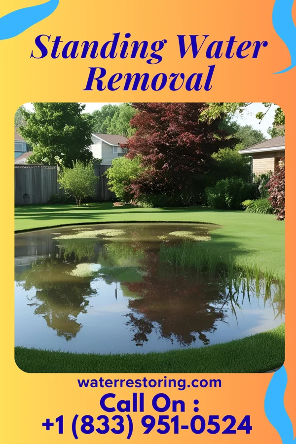 Standing Water Removal in Lake Norman of Catawba, NC